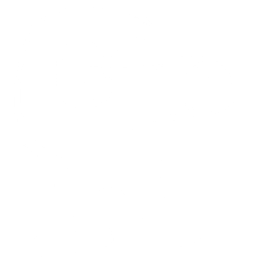 es de color naranja . No background. Transparent background. Blank background. No shadows. 2d. In-Game asset. flat