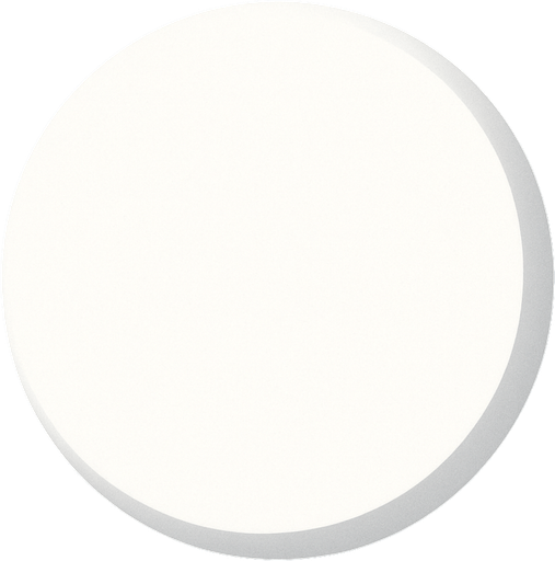 Beyaz 3d daire.
In-Game asset.  2d.  High contrast.  No shadows