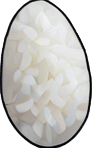 Long thin grain of rice