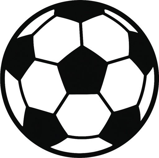 draw a soccer ball use a light gray and black.
2d.  High contrast.  No shadows