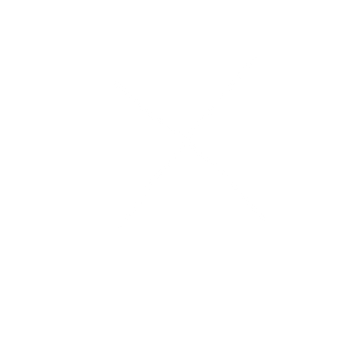 X. No background. Transparent background. Blank background. No shadows. 2d. In-Game asset. flat