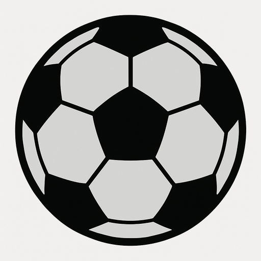 draw a soccer ball use a light gray and black.
2d.  High contrast.  No shadows