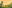 game-post-background