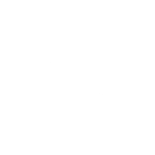 chicken. No background. Transparent background. Blank background. No shadows. 2d. In-Game asset. flat