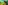 game-post-background