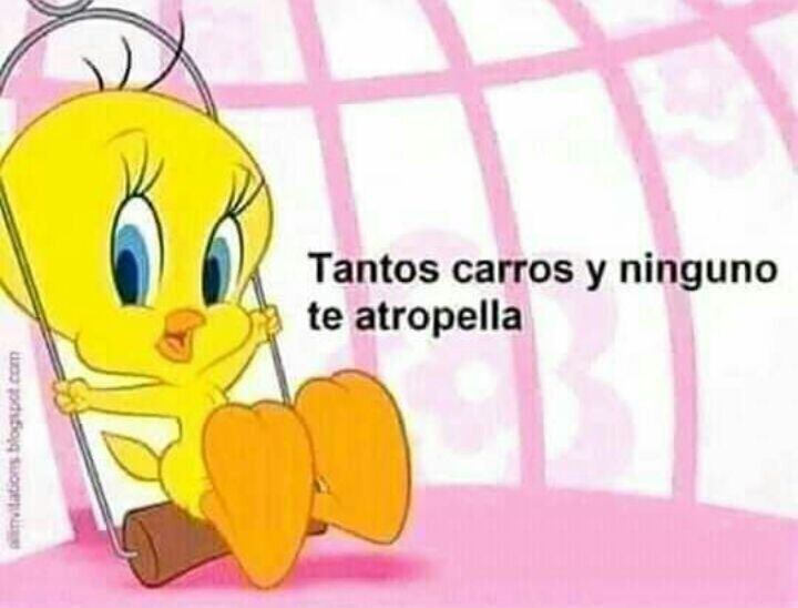 user-community-background