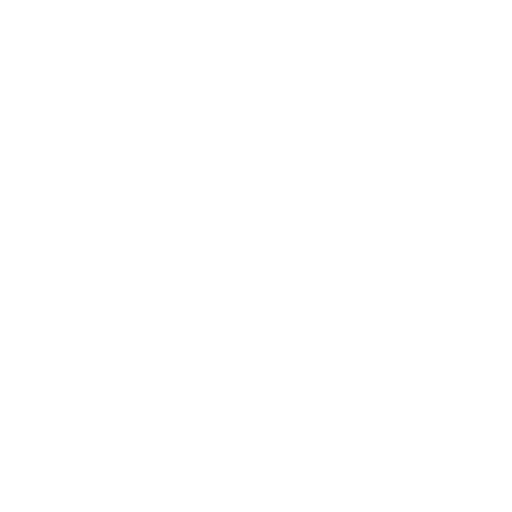 rocket. No background. Transparent background. Blank background. No shadows. 2d. In-Game asset. flat