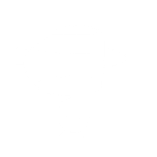 siyah sarı renki arı. No background. Transparent background. Blank background. No shadows. 2d. In-Game asset. flat