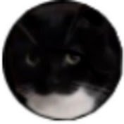 topic-community-background