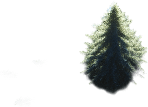 Photorealistic pine tree in night light, top view