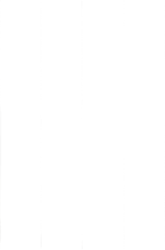 no perspective all parralel lines from birdswiew