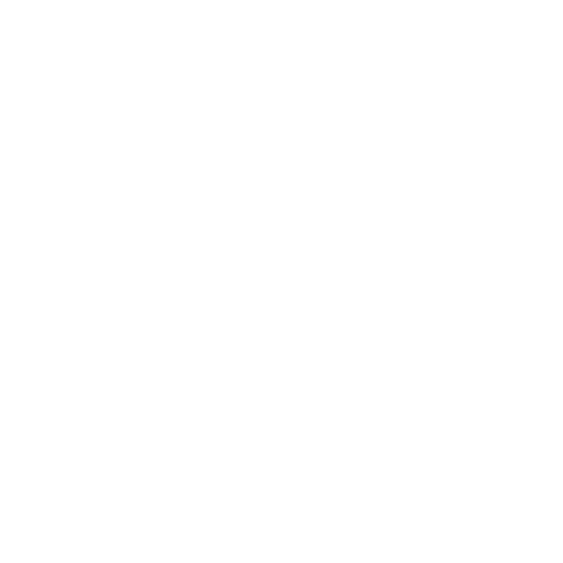 soldier. No background. Transparent background. Blank background. No shadows. 2d. In-Game asset. flat