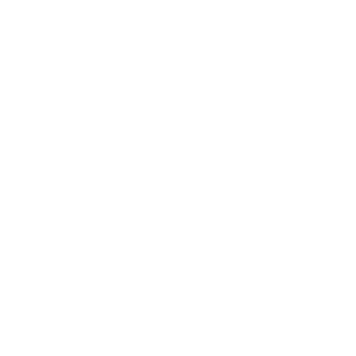 fox. No background. Transparent background. Blank background. No shadows. 2d. In-Game asset. flat