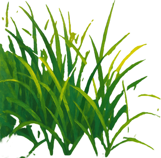 Grass