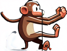 The missing tail of the monkey.