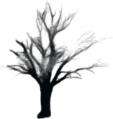 Photorealistic desert tree at night, bird view