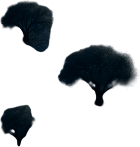 Photorealistic desert trees at night, bird view