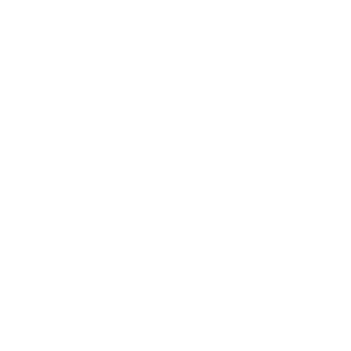 a realistic bat. No background. Transparent background. Blank background. No shadows. 2d. In-Game asset. flat