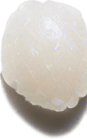 One white grain of rice