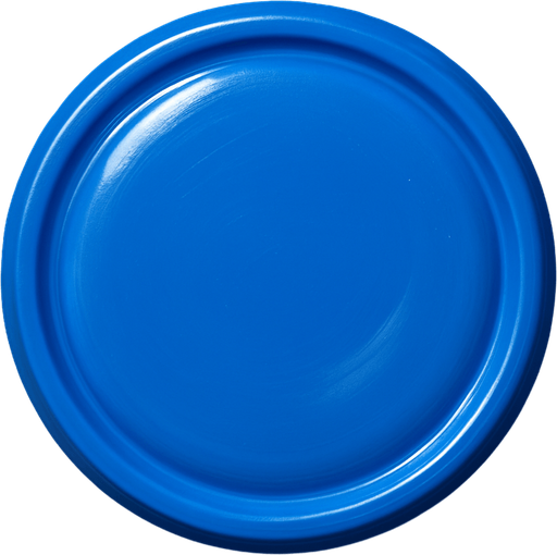 Circle realistic plastic blue.
In-Game asset.  2d.  High contrast.  No shadows