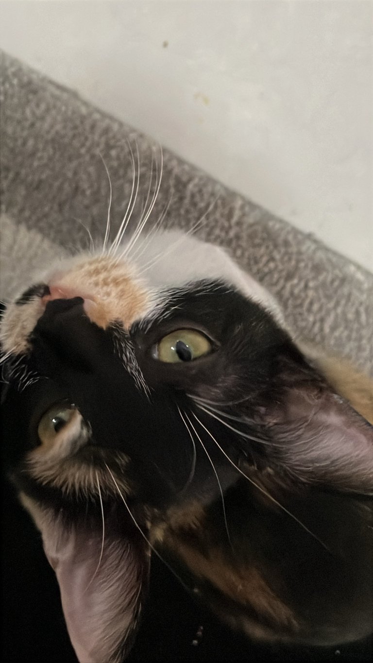 user-community-background