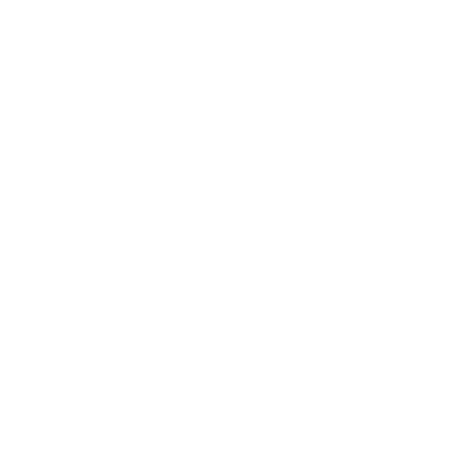 Kaktüs. No background. Transparent background. Blank background. No shadows. 2d. In-Game asset. flat