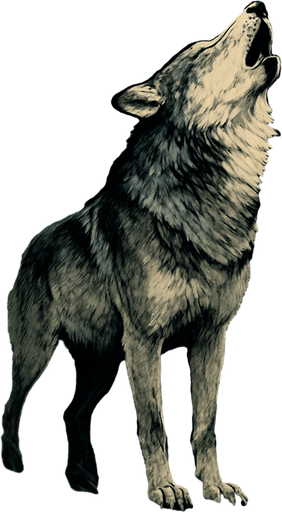 Aullidos del bosque, algo realista.
In-Game asset.  2d.  High contrast.  No shadows