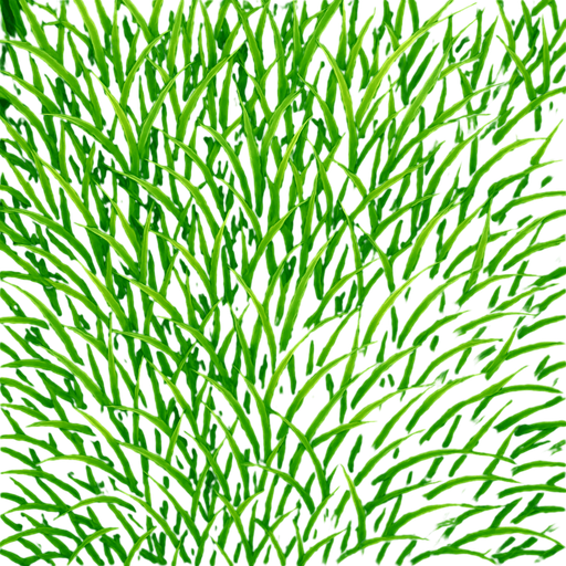realistic grass field 2d from top angle.
In-Game asset.  2d.  High contrast.  No shadows