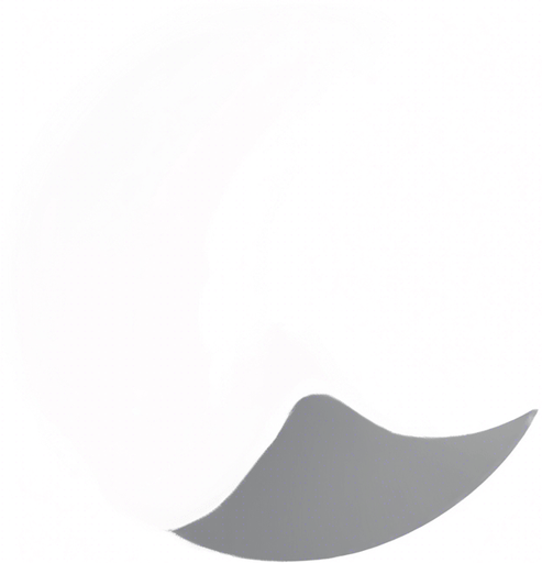 same image but all white