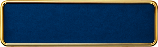 Keep the exact shape but change the material to be a lighter, but rich blue felt with a golden border around it