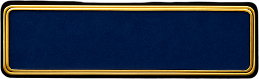 Keep the shape but make the material a blue felt with a golden border around it.