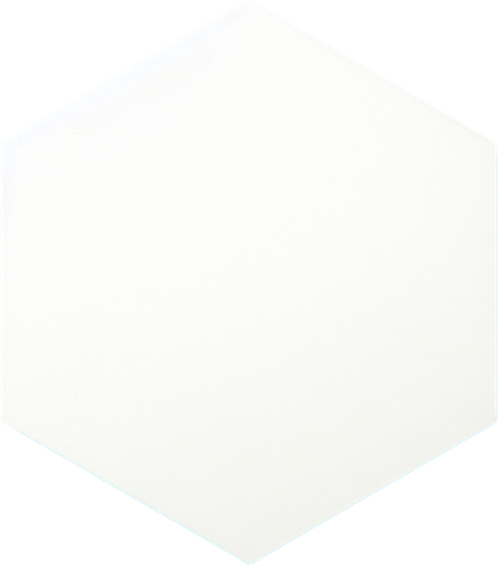 hexagon. flat and white..
Single Game Texture. In-Game asset. 2d. Blank background. High contrast. No shadows.