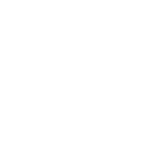 kafalarında kaktüs çiçeği olan 2 kaktüs
. No background. Transparent background. Blank background. No shadows. 2d. In-Game asset. flat