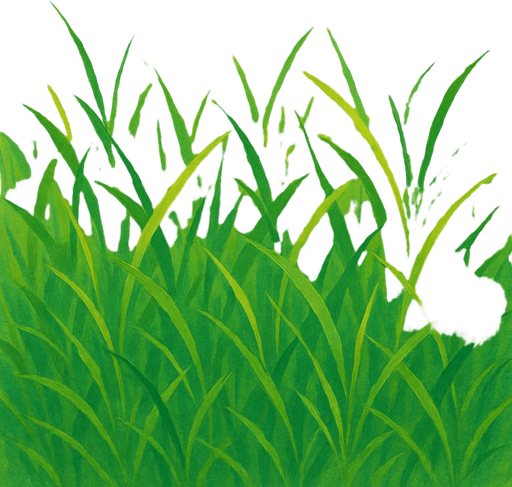 Grass