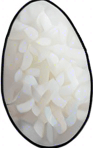 Long thin grain of rice