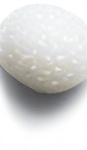 One white grain of rice