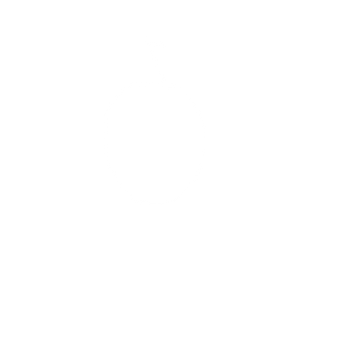 bomba. No background. Transparent background. Blank background. No shadows. 2d. In-Game asset. flat