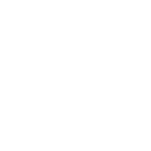 pixel art 2D x2. No background. Transparent background. Blank background. No shadows. 2d. In-Game asset. flat