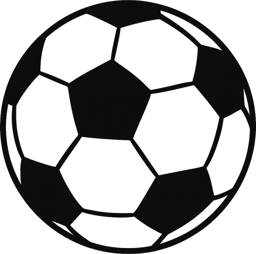 draw a soccer ball use a light gray and black.
2d.  High contrast.  No shadows