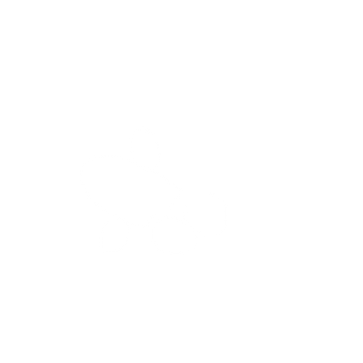 black fly. No background. Transparent background. Blank background. No shadows. 2d. In-Game asset. flat