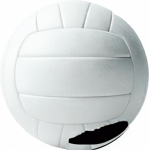 volley ball