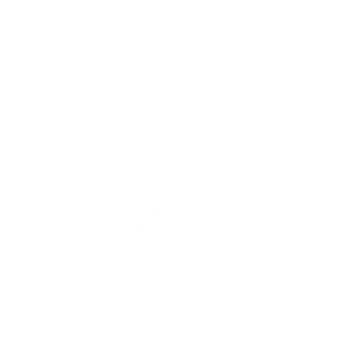 evil heart. No background. Transparent background. Blank background. No shadows. 2d. In-Game asset. flat