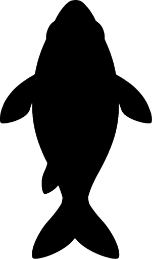 The dark shadow  silhouette of a fish. Top down view.
In-Game asset.  2d.  High contrast.  No shadows