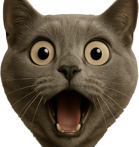 exagerate expression