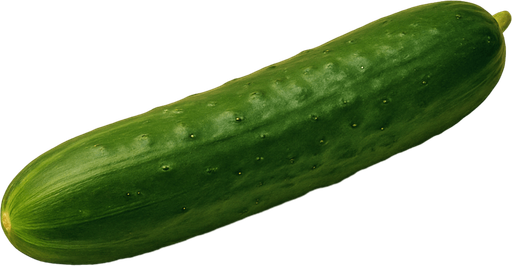 photo of a cucumber meme