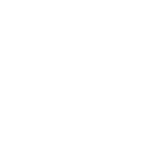 pixelart fire. No background. Transparent background. Blank background. No shadows. 2d. In-Game asset. flat