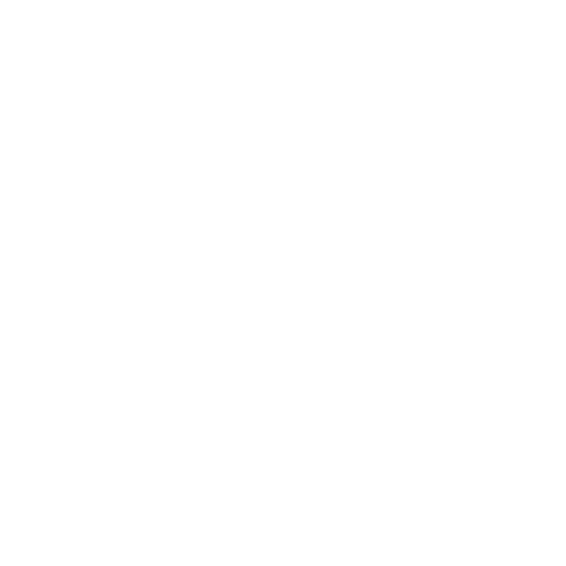 CREATE THIS IMAGE. No background. Transparent background. Blank background. No shadows. 2d. In-Game asset. flat