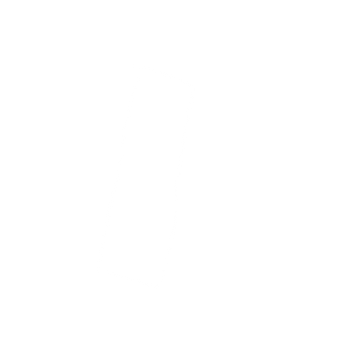 a bullet for the space ship player
. No background. Transparent background. Blank background. No shadows. 2d. In-Game asset. flat