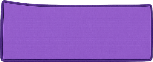 rectangle purple color 
. No background. Transparent background. Blank background. No shadows. 2d. In-Game asset. flat