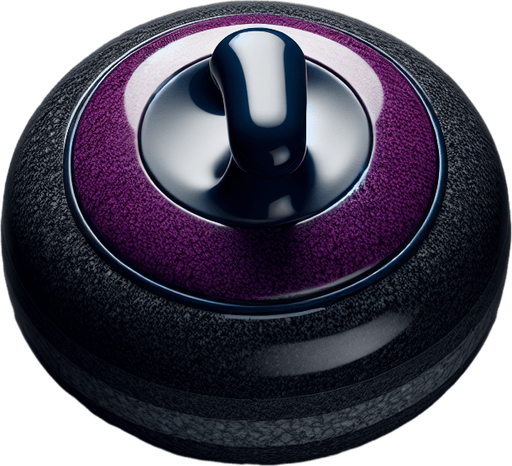 Black curlingstone with purple top, top view.
